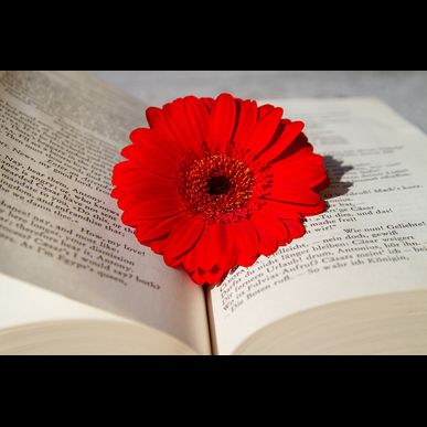 保険のムダ遣いを止めましょう